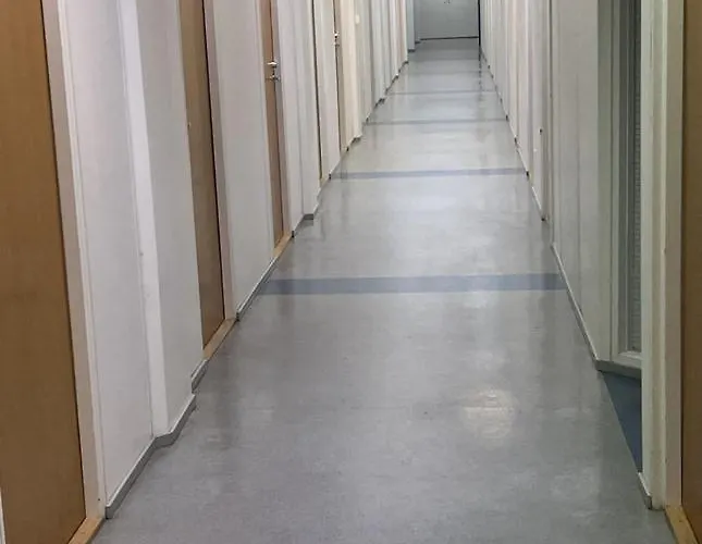 Office House Services 239